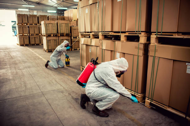Best Cockroach Control Services  in Palm Harbor, FL