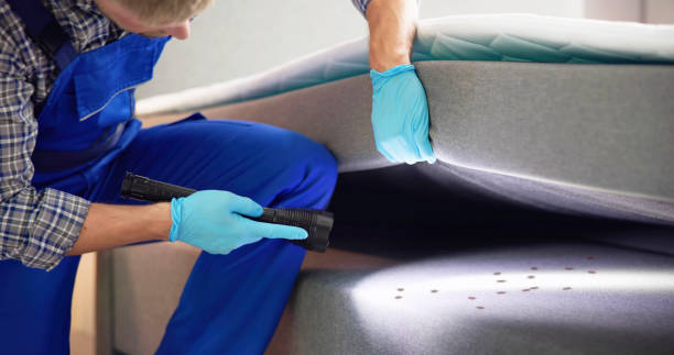 Best Bed Bug Extermination  in Palm Harbor, FL