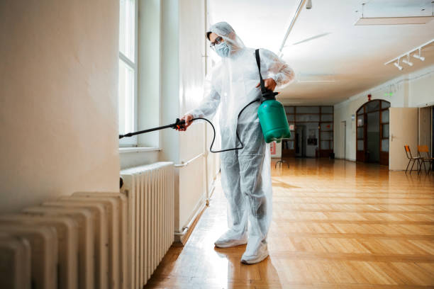 Best Rat Extermination Near Me  in Palm Harbor, FL